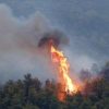 Συλλήψεις για εμπρησμούς σε Μεσσηνία και Ηλεία
