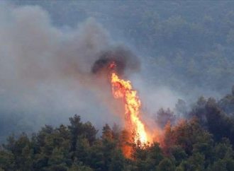 Συλλήψεις για εμπρησμούς σε Μεσσηνία και Ηλεία