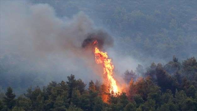Συλλήψεις για εμπρησμούς σε Μεσσηνία και Ηλεία