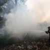Φωτιά ΤΩΡΑ: Καίγεται περιοχή Natura και στην Κέρκυρα