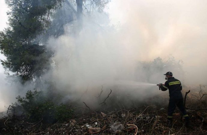 Φωτιά ΤΩΡΑ: Καίγεται περιοχή Natura και στην Κέρκυρα