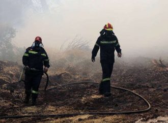 Φωτιά Εύβοια: Το προφίλ του εμπρηστή, η άρση τηλεφωνικού απορρήτου και η καταστροφή