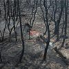 Φωτιά στη Νέα Μάκρη: Ψάχνουν τον άντρα που έβαλε την φωτιά τα ξημερώματα της Πέμπτης