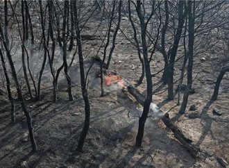 Φωτιά στη Νέα Μάκρη: Ψάχνουν τον άντρα που έβαλε την φωτιά τα ξημερώματα της Πέμπτης
