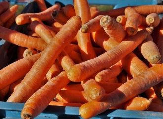 Φθιώτιδα: Ανήλικος δημιούργησε πανικό σε λαική αγορά – Τι συνέβη;