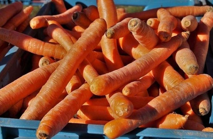 Φθιώτιδα: Ανήλικος δημιούργησε πανικό σε λαική αγορά – Τι συνέβη;