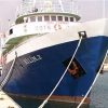 Ανοιχτά του Καστελόριζου το τουρκικό ερευνητικό πλοίο Bilim 2