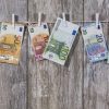 Αναδρομικά: Ποιοι μπορούν να διεκδικήσουν έως και 7.340 ευρώ μετά την απόφαση του ΣτΕ