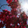 Καιρός – Η ΕΜΥ προειδοποιεί: Έρχονται 23άρια – Πότε και σε ποιες περιοχές