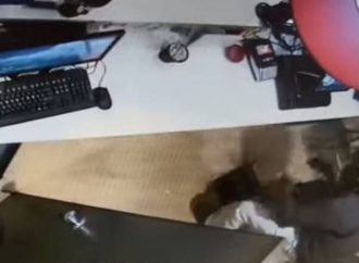 «Επαναστατική Αυτοάμυνα»: Βίντεο – ντοκουμέντο από την ληστεία στον Χολαργό