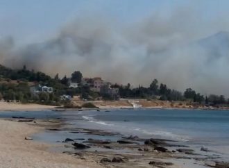Ελεγχόμενη η φωτιά στο Λαγονήσι