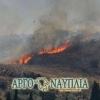 Φωτιά ΤΩΡΑ: Μεγάλη πυρκαγιά στο Ναύπλιο