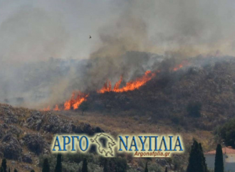 Φωτιά ΤΩΡΑ: Μεγάλη πυρκαγιά στο Ναύπλιο