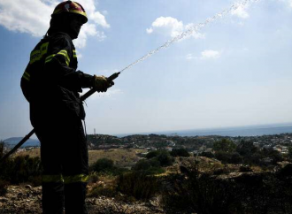 «Δεν κατάλαβα πώς έγινε»: Τι είπε ο μελισσοκόμος που φέρεται να ευθύνεται για τη φωτιά στο Λαγονήσι