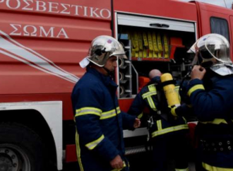 Κάηκαν δεκάδες κατοικίδια από φωτιά σε λυόμενο στη Νέα Μηχανιώνα