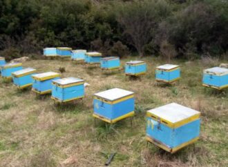 Υπεγράφη η απόφαση ανασύστασης του Μελισσοκομικού Πάρκου Δαδιάς