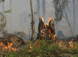 Πυρκαγιά απειλεί πετρελαιοπαραγωγική πόλη στον Καναδά – Νέες εσπευσμένες απομακρύνσεις κατοίκων