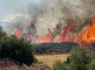 Πυρκαγιά στον Μύτικα Σπάρτης