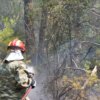 Πικέρμι: Υπό έλεγχο η πυρκαγιά μέσα σε οκτώ λεπτά
