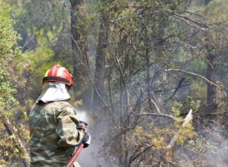Πικέρμι: Υπό έλεγχο η πυρκαγιά μέσα σε οκτώ λεπτά