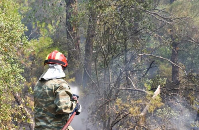 Πικέρμι: Υπό έλεγχο η πυρκαγιά μέσα σε οκτώ λεπτά