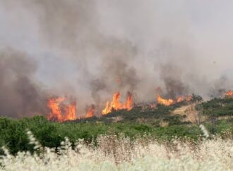 Φωτιά σε χαμηλή βλάστηση στο Κιλελέρ – Σηκώθηκαν δύο ελικόπτερα