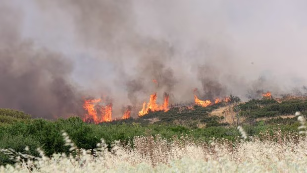 Φωτιά κοντά στο Καλαμωτό Λαγκαδά στη Θεσσαλονίκη – Στη μάχη και εναέρια μέσα