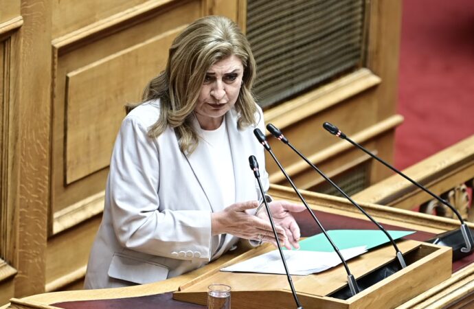 Λιακούλη για τις αγωγές SLAPP Δημητριάδη: Νίκη για την ελευθεροτυπία και το κράτος δικαίου
