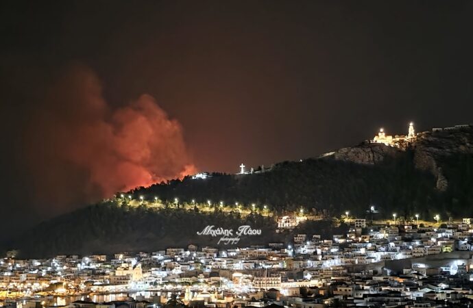Πυρκαγιά σε δασική περιοχή της Καλύμνου