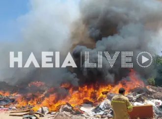 Φωτιά στο Βαρθολομιό Ηλείας – Μήνυμα 112 για ετοιμότητα