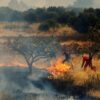 Πυρκαγιές: Τα μέτρα προστασίας και τι πρέπει να προσέξουμε