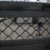 Φυλακή ή επιστροφή: Σε αναστολή οι διαδικασίες ασύλου, υπό κράτηση οι νόμιμοι αιτούντες