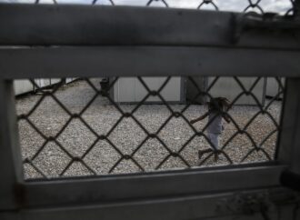 Φυλακή ή επιστροφή: Σε αναστολή οι διαδικασίες ασύλου, υπό κράτηση οι νόμιμοι αιτούντες