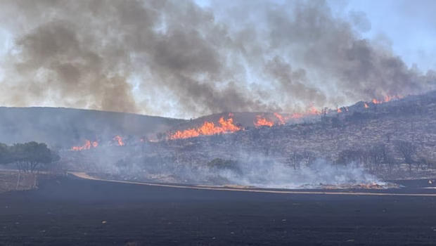 Βελτιωμένη η εικόνα της πυρκαγιάς στο Καλαπόδι Φθιώτιδας – Ενισχύονται περαιτέρω οι πυροσβεστικές δυνάμεις