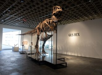 ΗΠΑ: Σκελετός T-Rex πωλήθηκε έναντι 50,1 εκατ. δολαρίων – τιμή-ρεκόρ