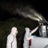 Ιός του Δυτικού Νείλου: Συναγερμός από τον ΕΟΔΥ – Συμπτώματα και συστάσεις των ειδικών