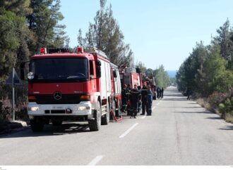 Χαλκιδική: Σε ισχύ απαγόρευση κυκλοφορίας σε δασικές περιοχές λόγω αυξημένου κινδύνου πυρκαγιάς