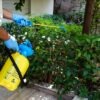 Ιός του Δυτικού Νείλου: Τρεις παράγοντες που καθορίζουν την έξαρση και μέτρα προφύλαξης
