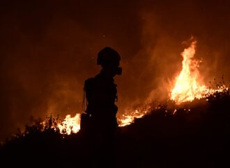 Έκκληση του Ελληνικού Ερυθρού Σταυρού για στήριξη πυρόπληκτων και οικόσιτων ζώων – Πού βρίσκονται τα σημεία συγκέντρωσης