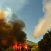 Πυρά κατά της κυβέρνησης Μητσοτάκη για τα εκατομμύρια καμένων εκτάσεων