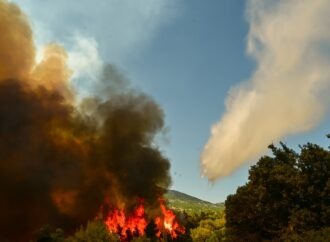 Πυρά κατά της κυβέρνησης Μητσοτάκη για τα εκατομμύρια καμένων εκτάσεων