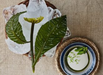 Το Noma επιστρέφει με νέα ηγεσία μετά τη θύελλα καταγγελιών