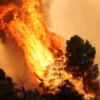 Πυροσβεστική: Από αλλού ξεκίνησε η φωτιά στη Βοιωτία – Όχι από τις ανεμογεννήτριες