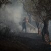 Σε εξέλιξη νέα φωτιά στην Αχαΐα