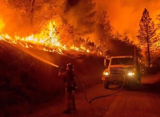 Αλγερία: 12 νεκροί, ανάμεσά τους 8χρονο παιδί, και δεκάδες τραυματίες από δασικές πυρκαγιές