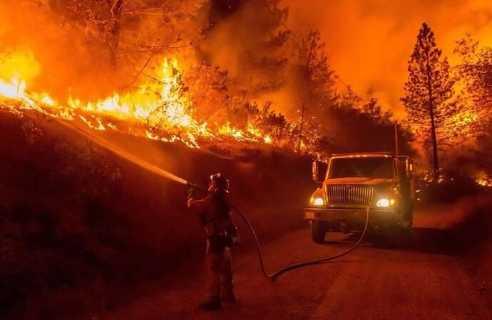 Αλγερία: 12 νεκροί, ανάμεσά τους 8χρονο παιδί, και δεκάδες τραυματίες από δασικές πυρκαγιές
