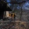 Πυρκαγιές: Ποιοι δικαιούνται αποζημιώσεις, ποιες οι διαδικασίες και όλα τα μέτρα στήριξης για τους πληγέντες
