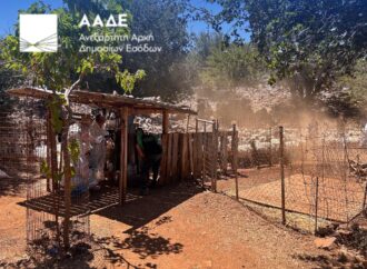 Σαφάρι ελέγχων στην Κρήτη: Εξαφανίστηκε το 60% των κτηνοτρόφων – Χωρίς επιδοτήσεις το 2025, νέοι έλεγχοι το 2026