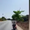 Χανιά: Έβαλε ολόκληρο δέντρο πάνω σε μηχανάκι και έγινε χαμός