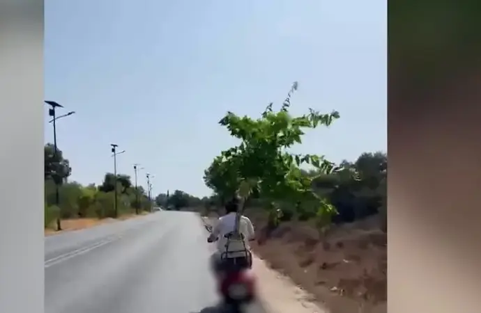 Χανιά: Έβαλε ολόκληρο δέντρο πάνω σε μηχανάκι και έγινε χαμός